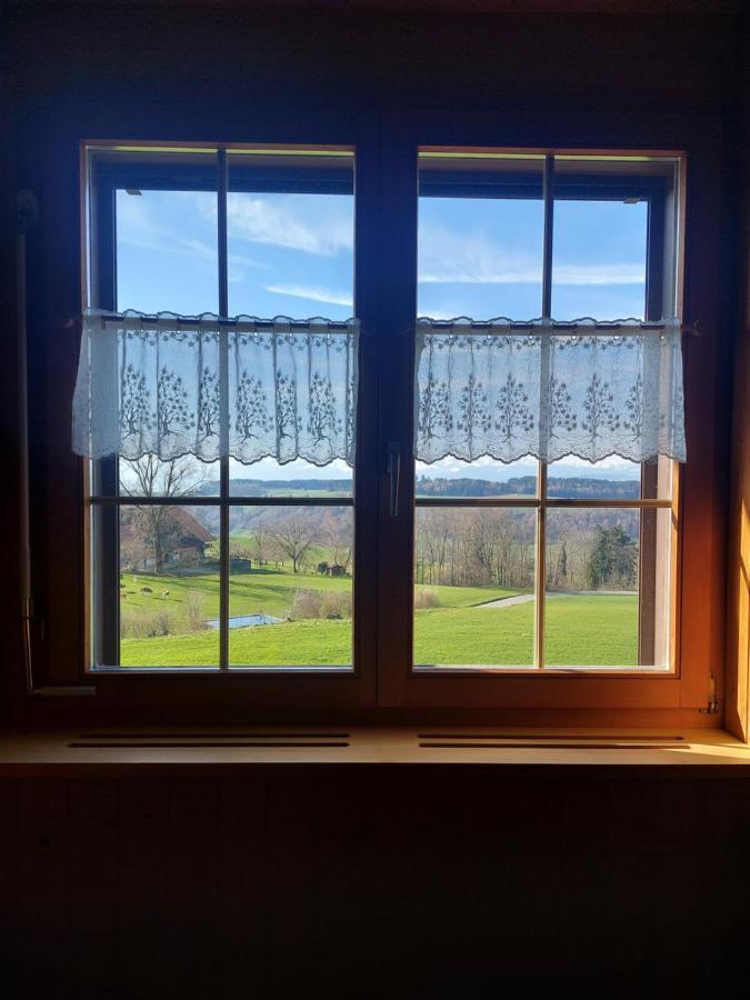 Alpenblick Ferenberg Bern 3*