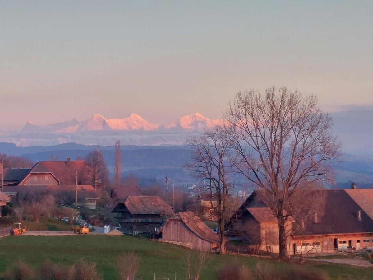 Alpenblick Ferenberg Bern 3*